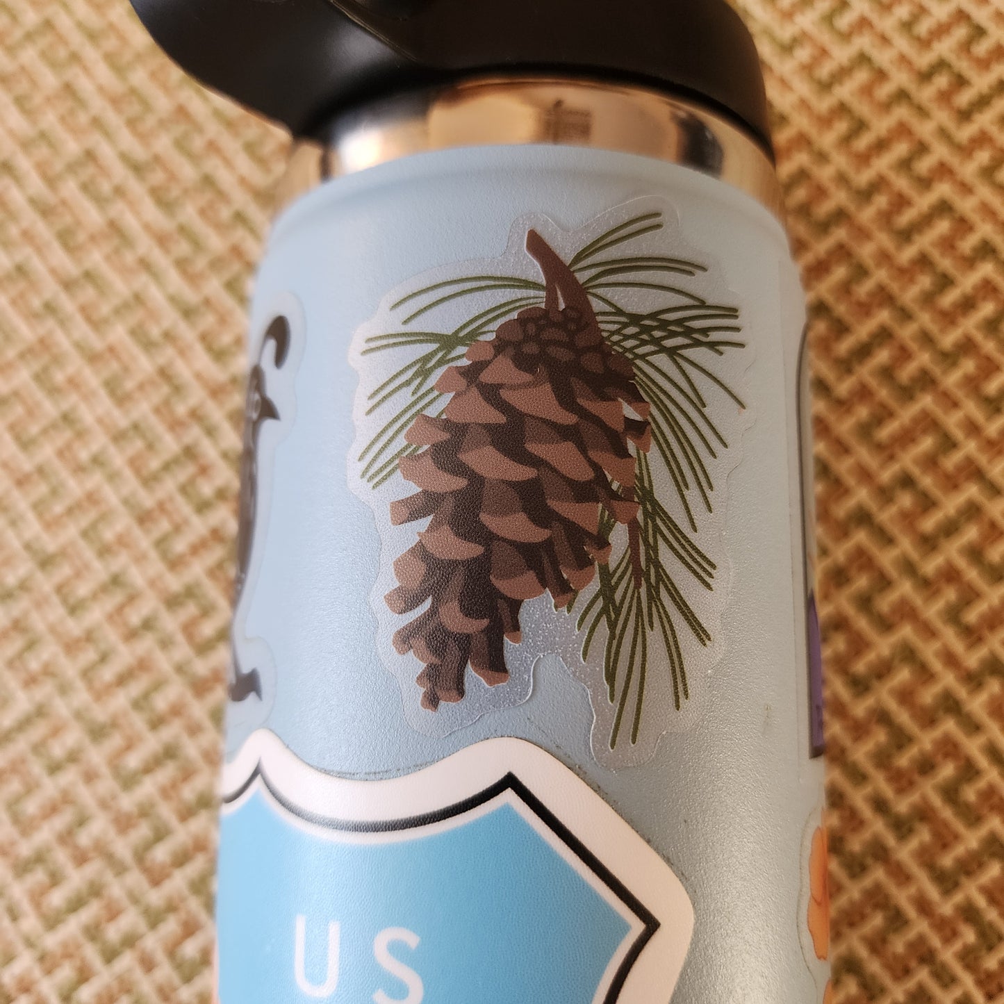 Pine Cone Sticker
