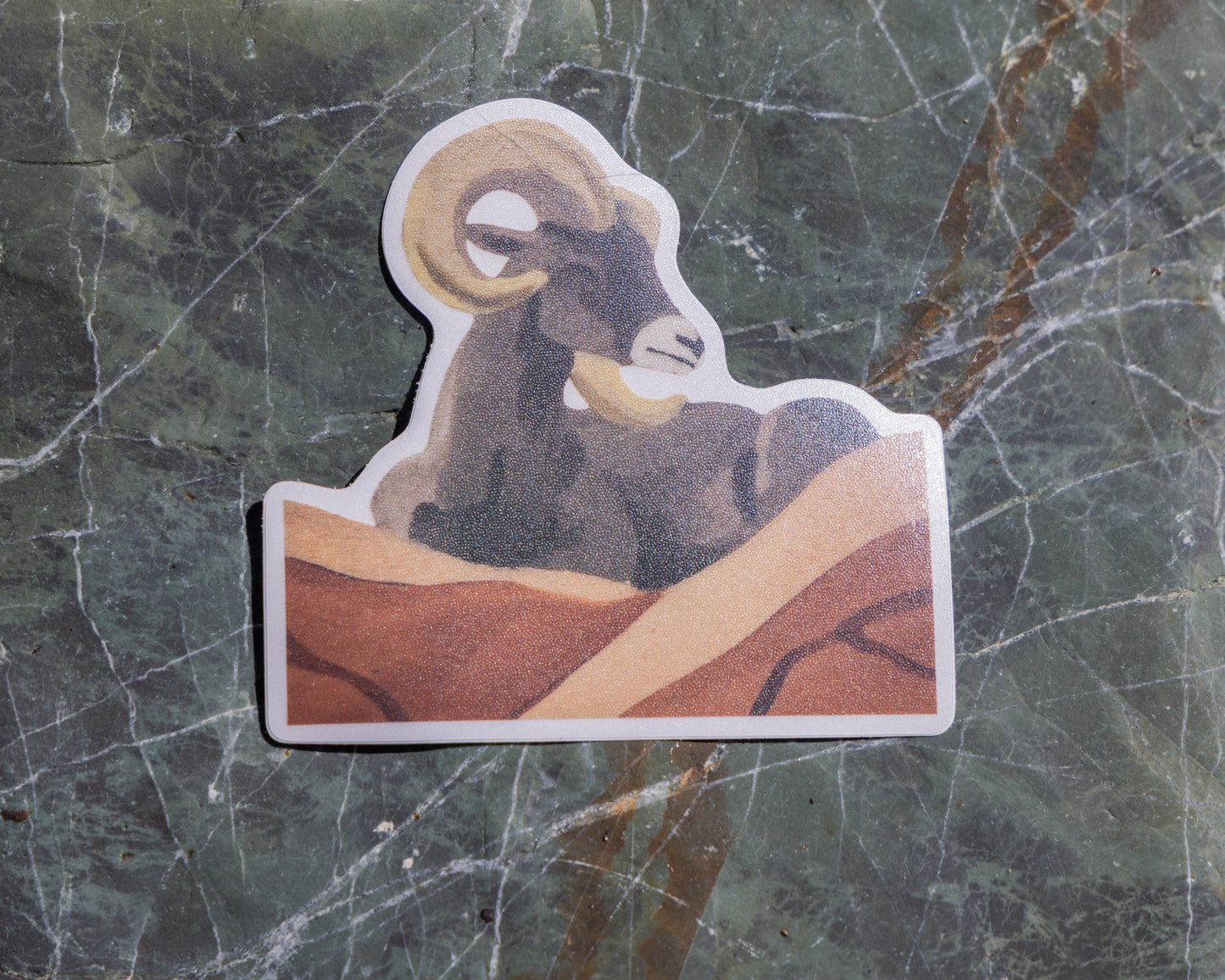 Sleepy Bighorn Sheep Sticker