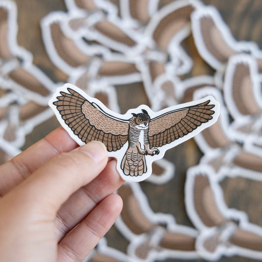 Flying Owl Sticker