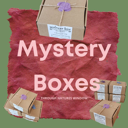 Mystery Boxes