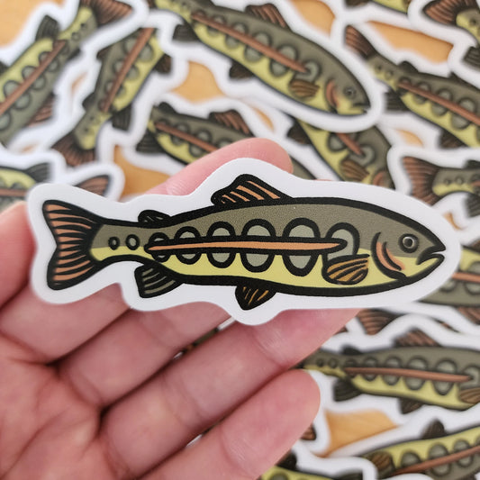 Golden Trout Sticker