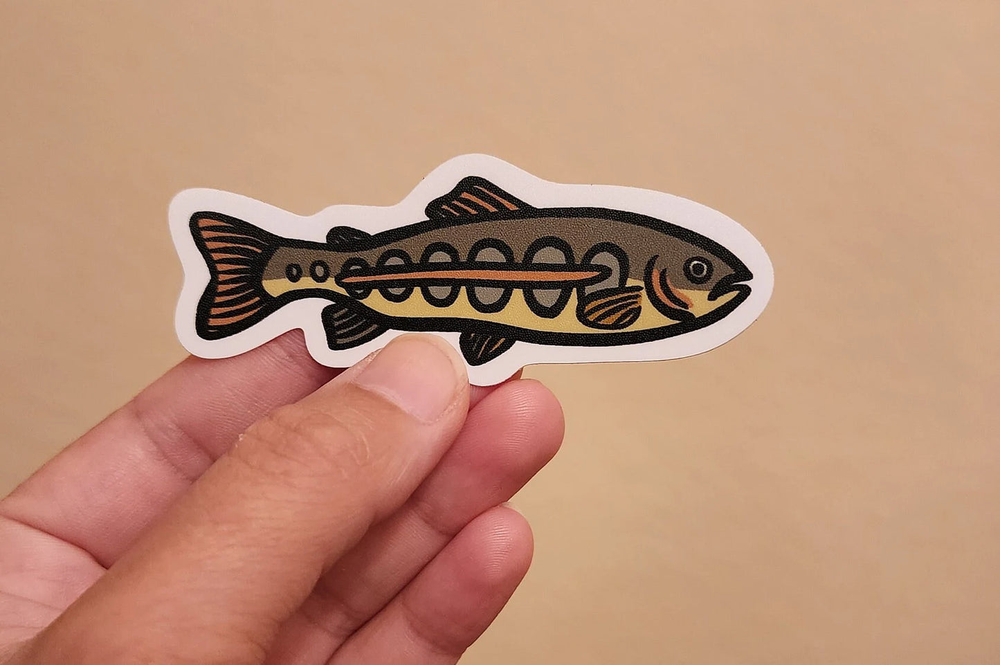 Golden Trout Sticker