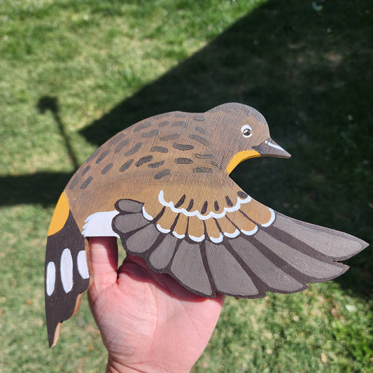 Yellow-rumped Warbler