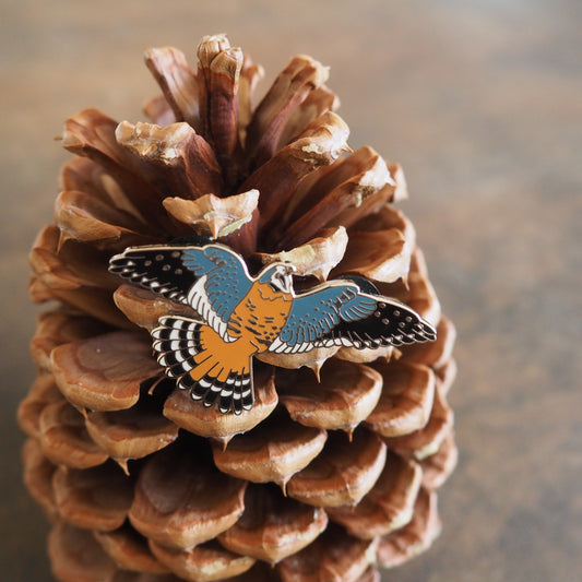 Kestrel Pin