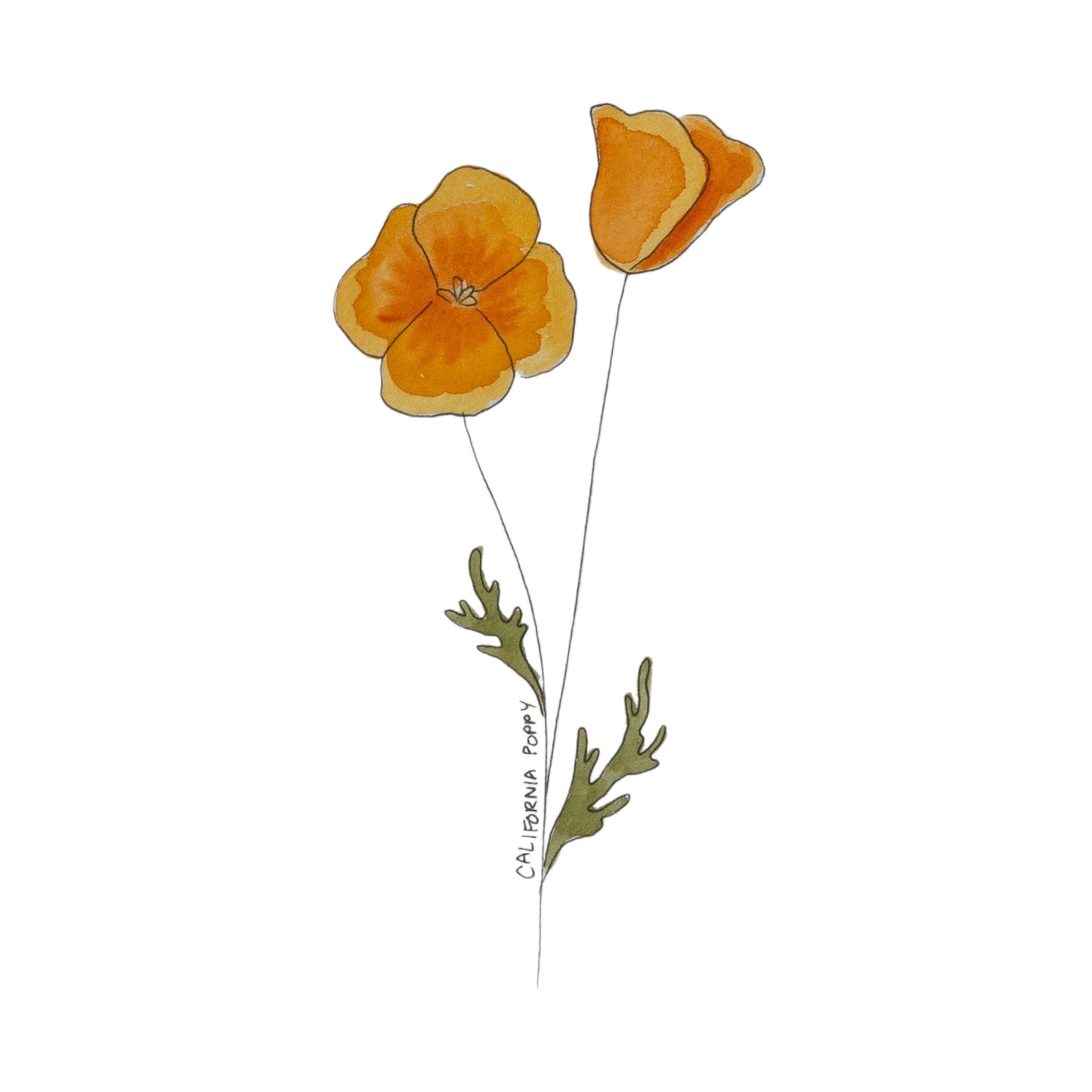 Wildflower Stickers