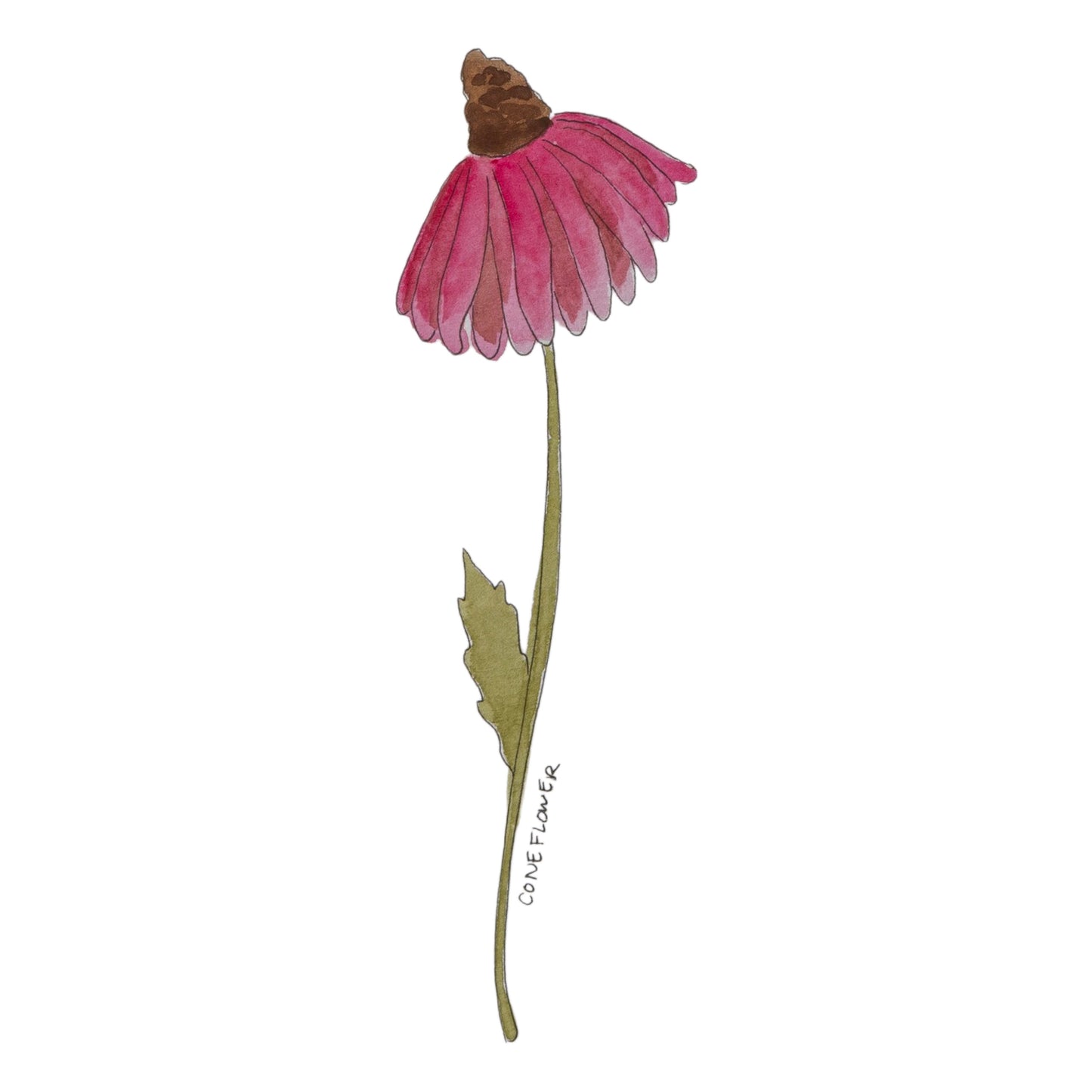 Wildflower Stickers