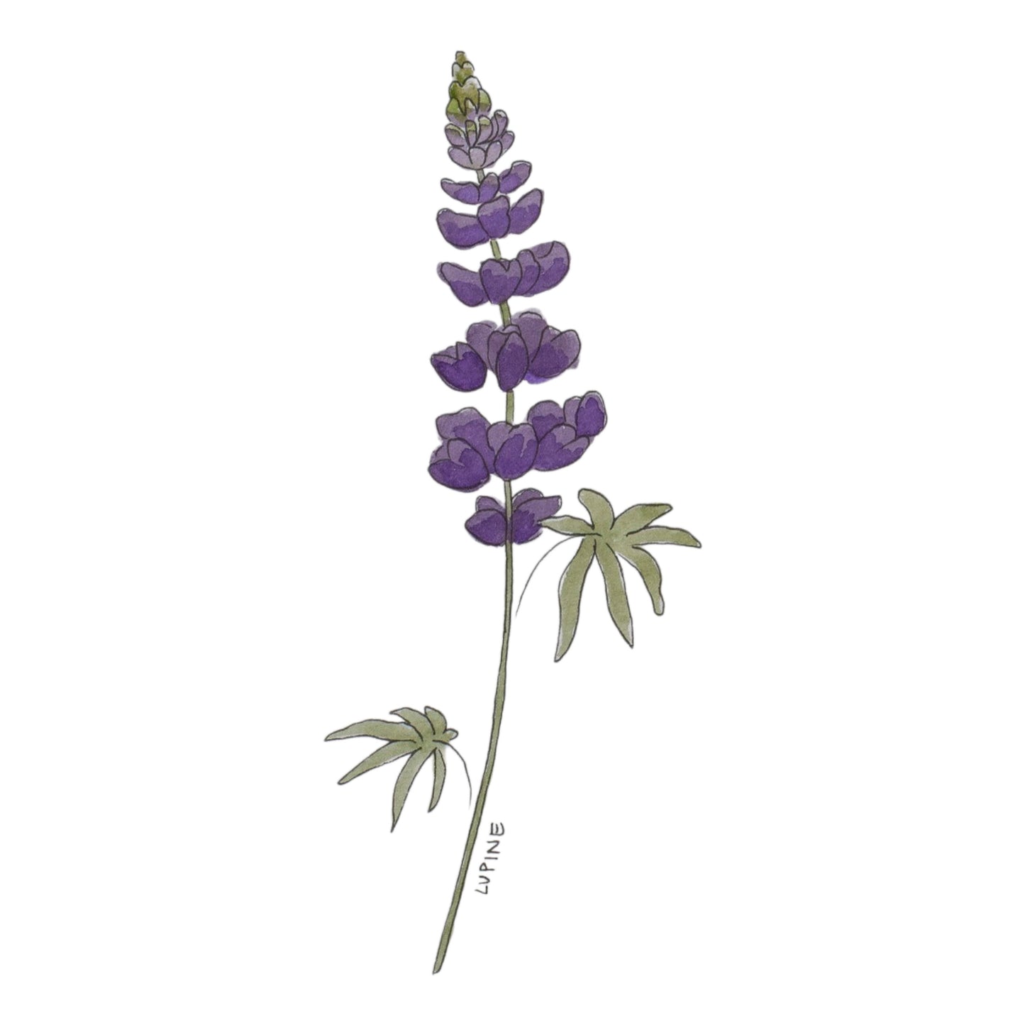 Wildflower Stickers