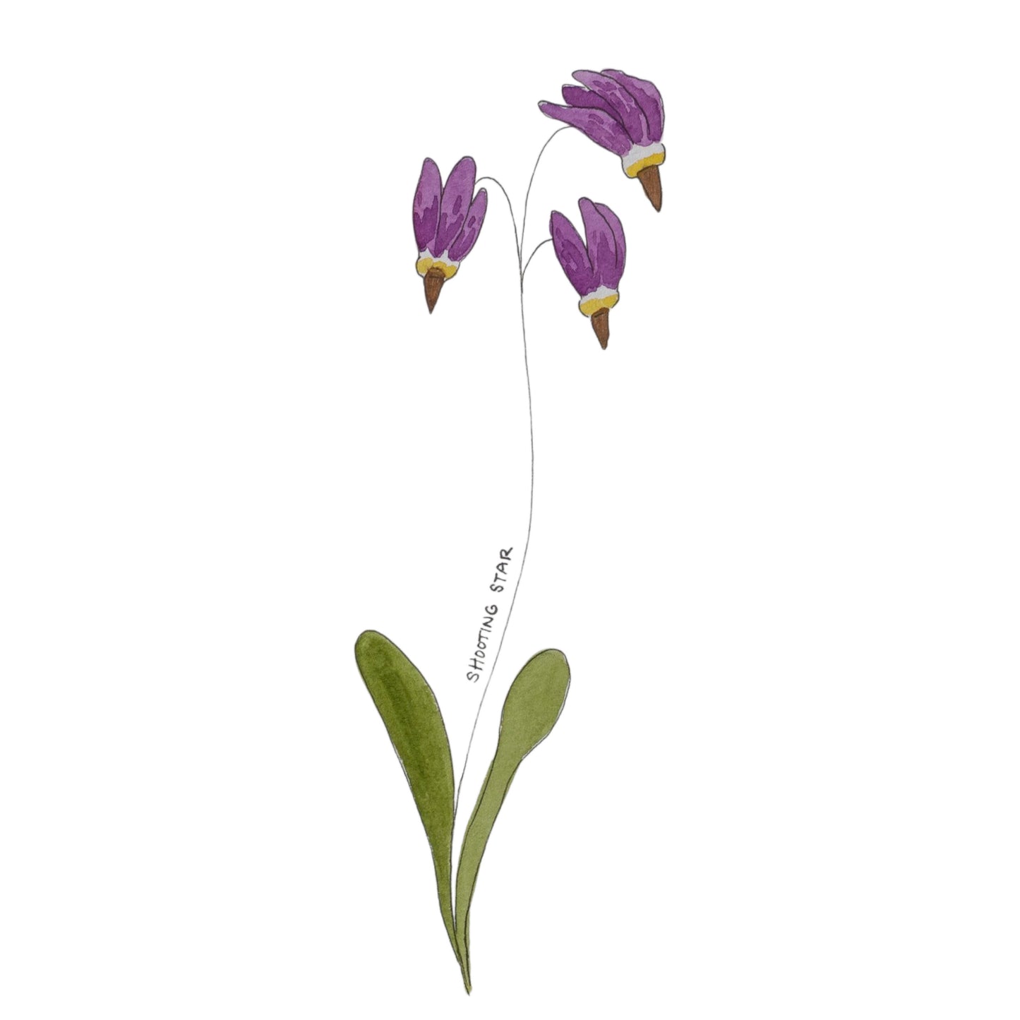 Wildflower Stickers