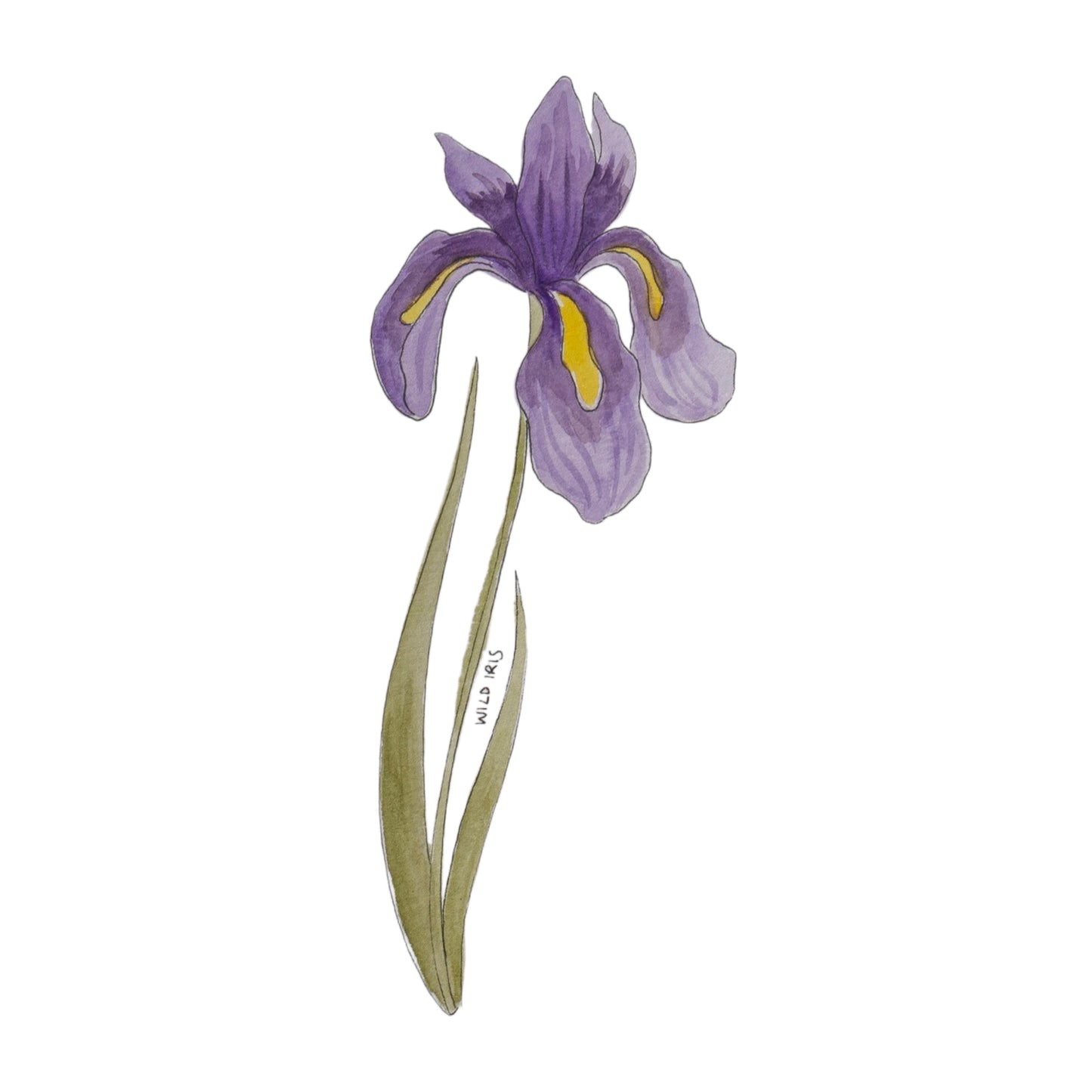 Wildflower Stickers